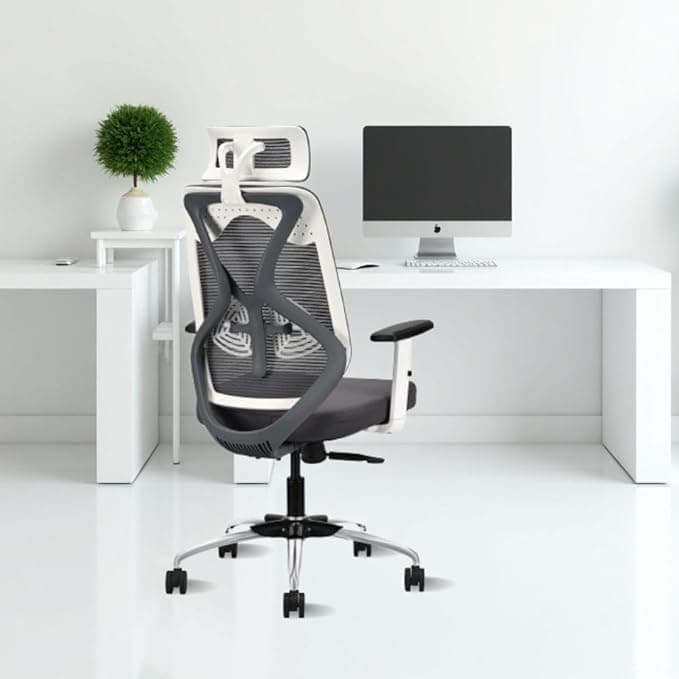 IAFA FURNITURE® Ergolux High Back Office Chair