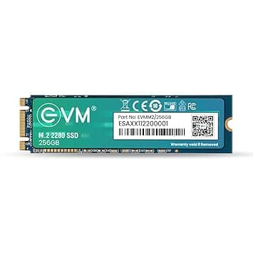 EVM 256GB M.2 (2280) SATA Internal SSD (EVMM2/256GB)
