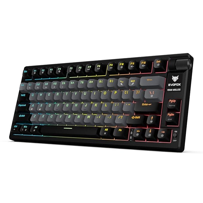 EvoFox Ronin TKL Wireless Mechanical Keyboard