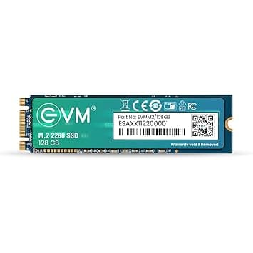 EVM 128GB M.2 (2280) SATA Internal SSD (EVMM2/128GB)
