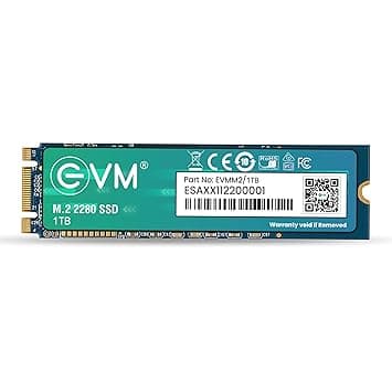 EVM 1TB M.2 (2280) SATA Internal SSD (EVMM2/1TB)