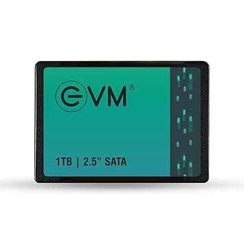 EVM 1TB 2.5-Inch SATA III Internal SSD (EVM25/1TB)