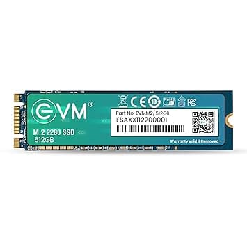 EVM 512GB M.2 (2280) SATA Internal SSD (EVMM2/512GB)